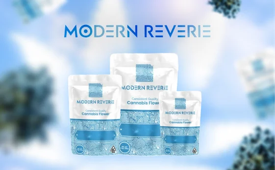 Modern Reverie